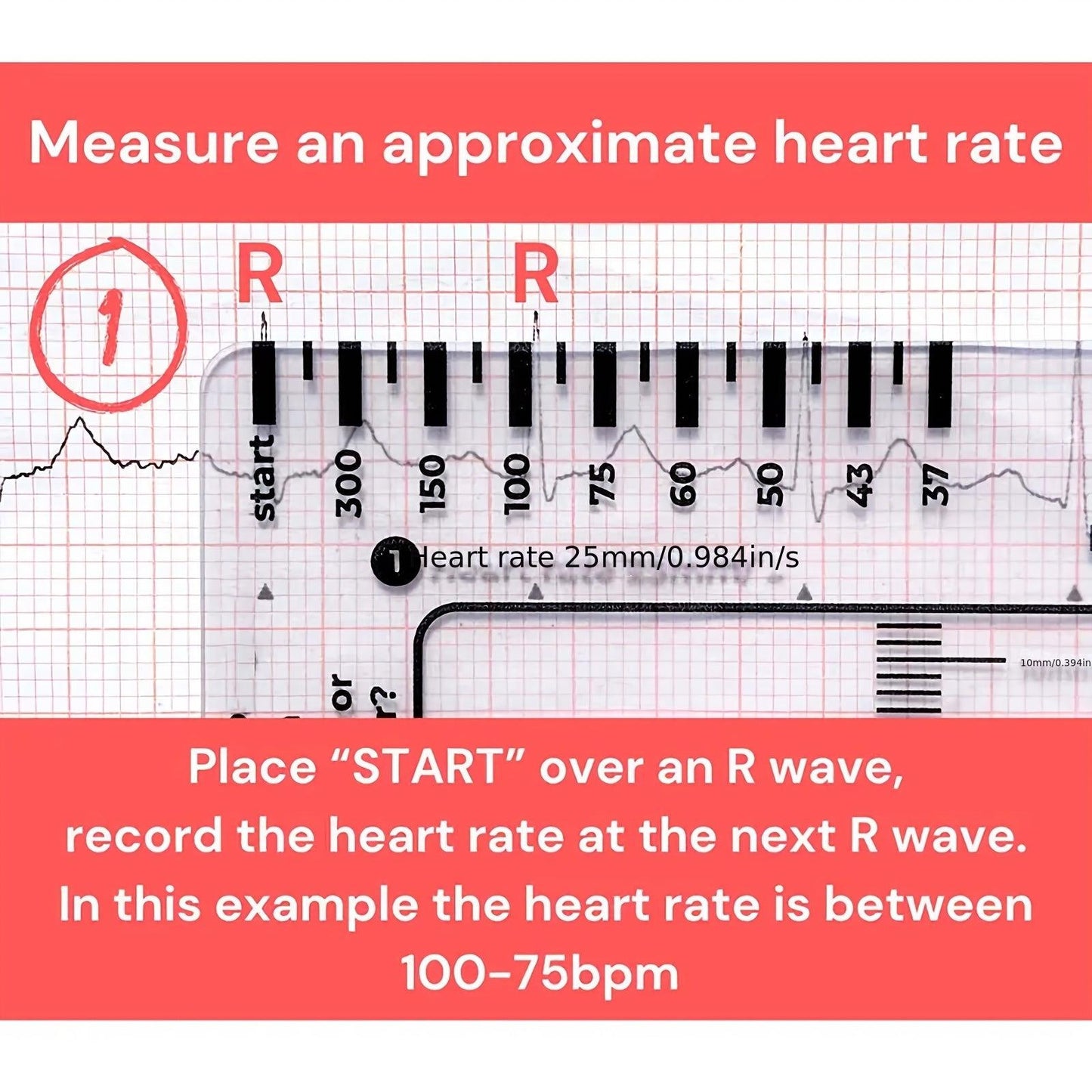 ECG 7 Step Ruler, ECG Ruler Plastic Ruler Measuring Tool, ECG 7 Step Ruler for ECG/EKG Interpretation, Transparent ECG Calipers Measuring Tool, Easy to Carry ECG Ruler, Follow 7 Step Plan (1pc)